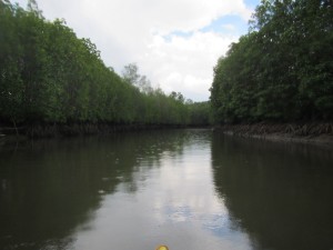 Sugar Beach in Sipalay-009